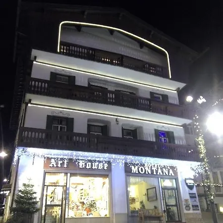 몬타나 2*